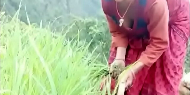 Boobs, Indian, Perfect, Sex, Sexy, Tits, Big Boobs